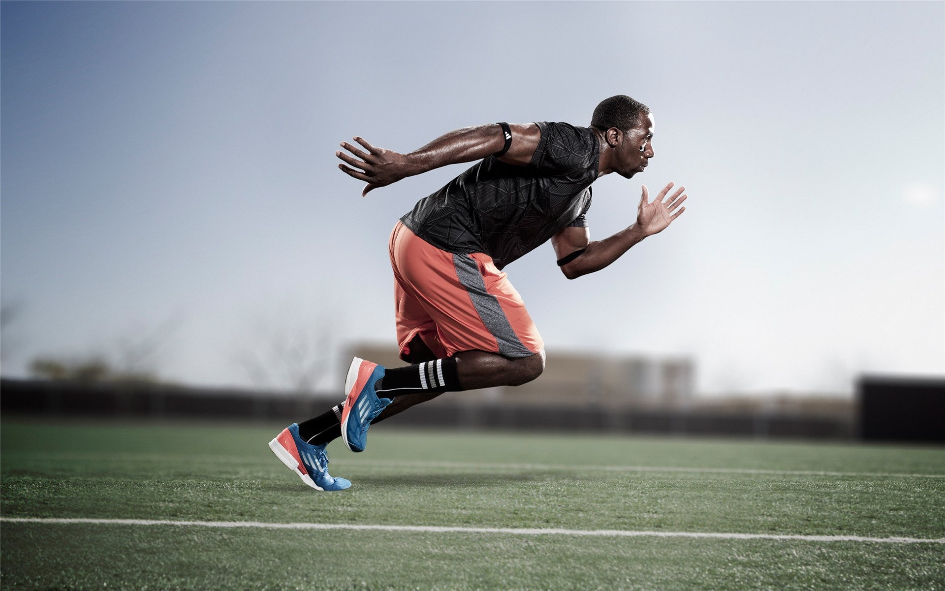 数字化时代的F1：智慧与速度并存，数字化时代百科