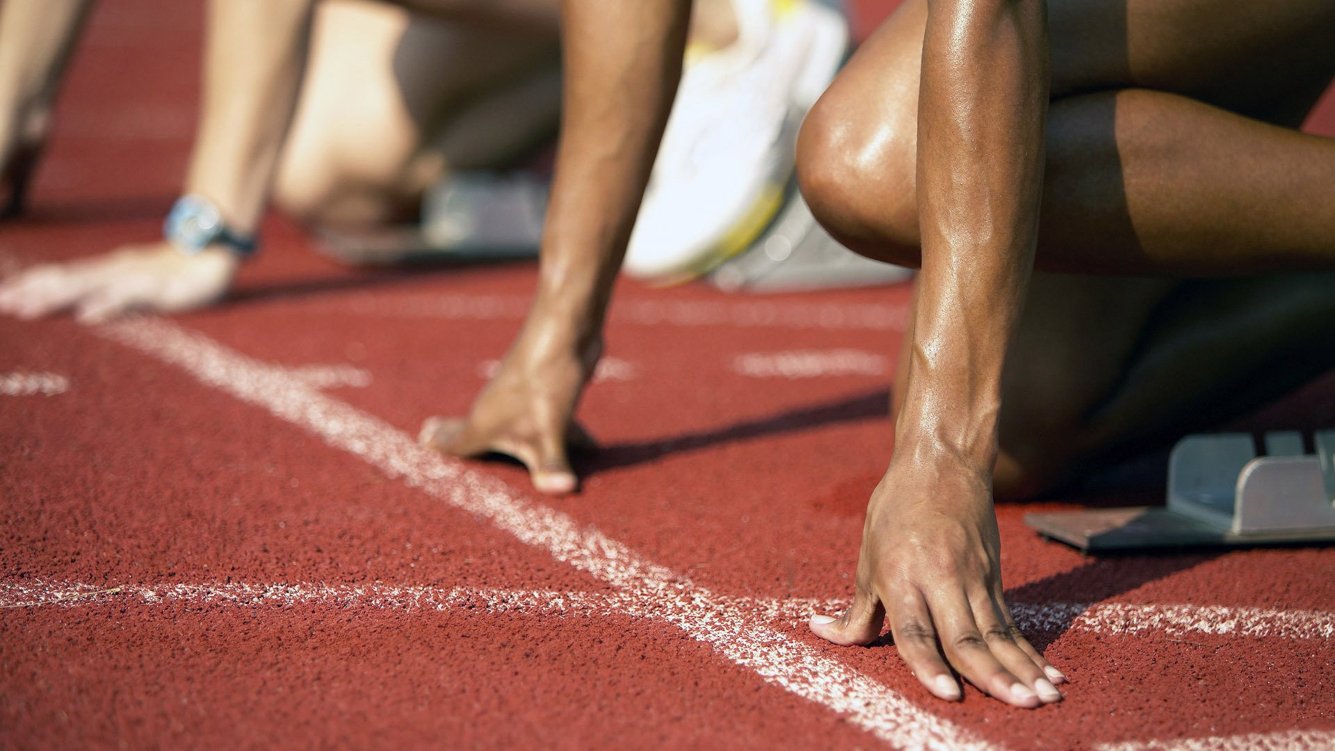 荷兰马术协会与澳大利亚马术协会签署人才交流协议,促进双向发展。